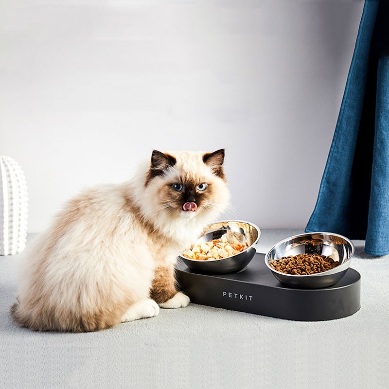 Cat Bowls NZ