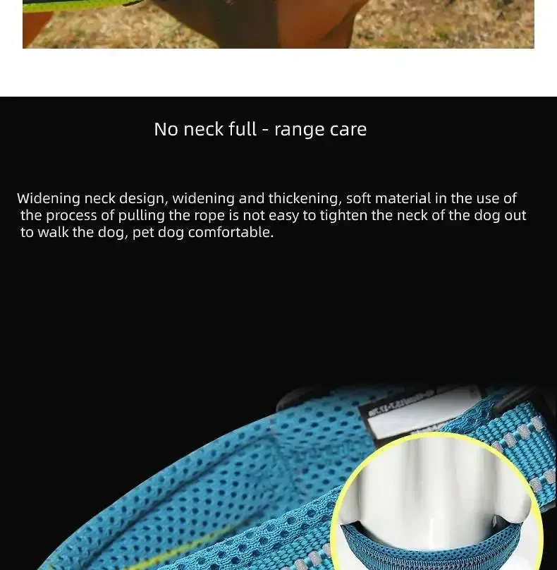 Anti Strangulation Medium Teddy Pet Products