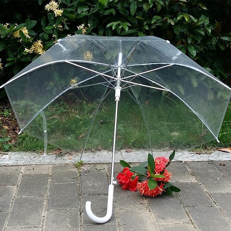 Clear Umbrella NZ