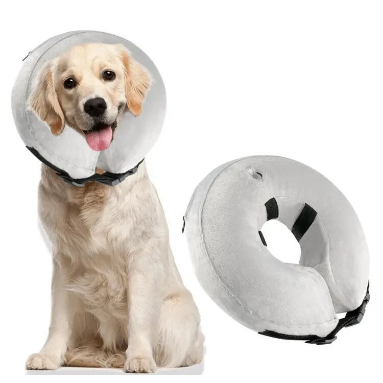 Blow Up Dog Collar