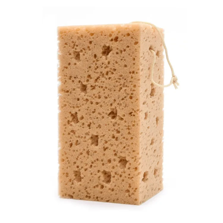 Car Sponge