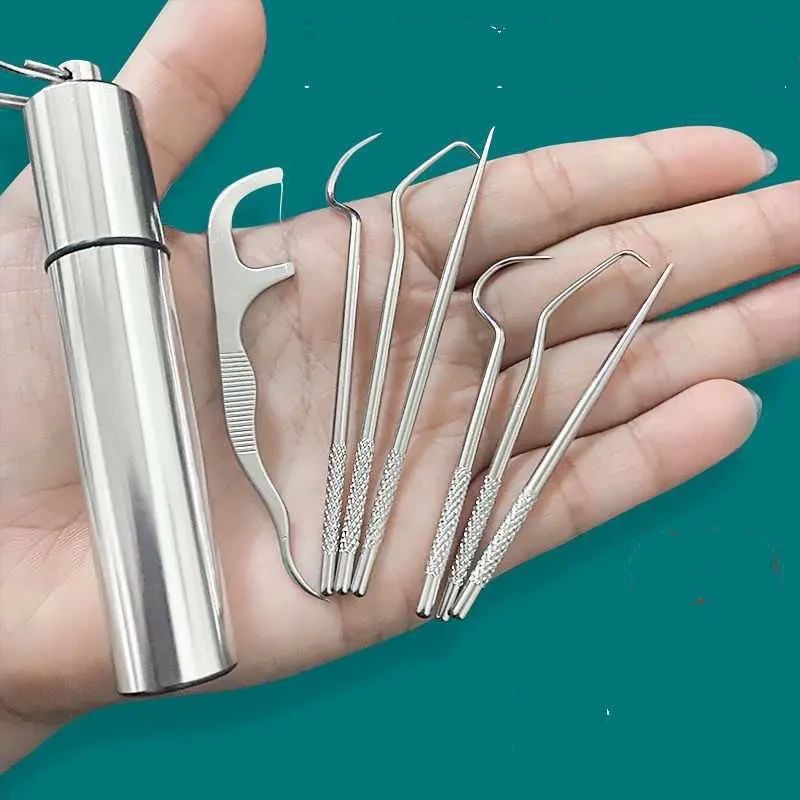 Stainless Steel Metal Toothpick Set