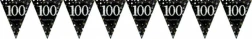Banner - Sparkling Celebration 100 Prismatic Pennant - Plastic