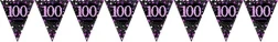 Pink Celebration 100 Prismatic Pennant Banner - Plastic