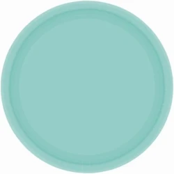 Paper Plates 17cm Round 20CT - Robin's Egg Blue  - Pack of 20