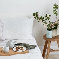 Lactation Biscuits - Chocolate Chip - GF & Vegan
