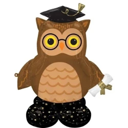 CI: AirLoonz Graduate Wise Owl