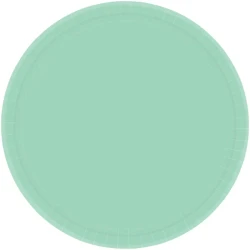Paper Plates 17cm Round 20ct Cool Mint (Pack Of 20)