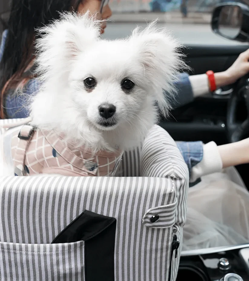 CarCrate™ Pet Booster Seat