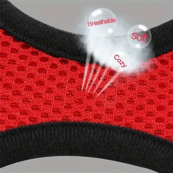 Reflective Pet Safety Harness & Leash Set