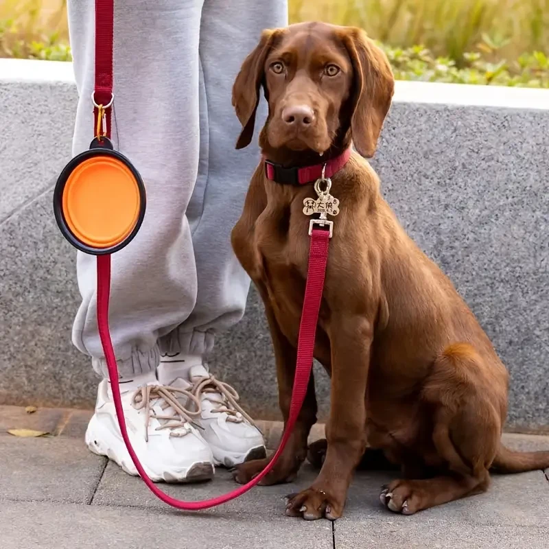 Travel-Friendly Pet Bowl