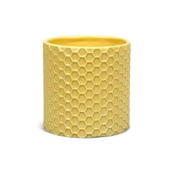 Disney Plant Pot : Winnie The Pooh - Honeycomb