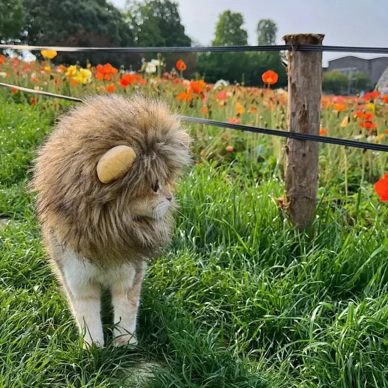 Adorable Lion Mane Costume for Cats – Durable and Comfy