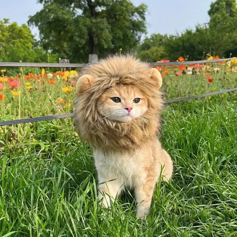 Adorable Lion Mane Costume for Cats – Durable and Comfy