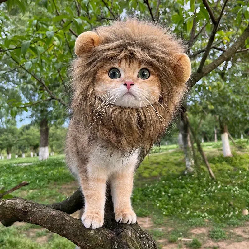 Adorable Lion Mane Costume for Cats – Durable and Comfy