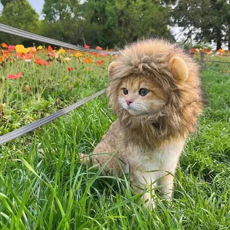 Adorable Lion Mane Costume for Cats – Durable and Comfy