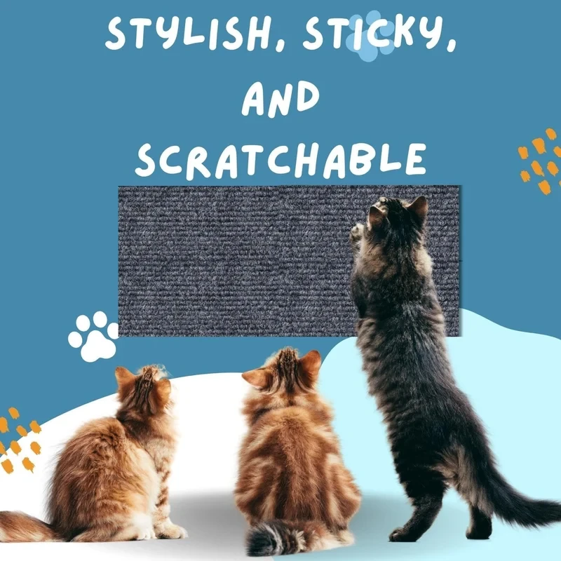 Asisumption™ -Cat Scratching