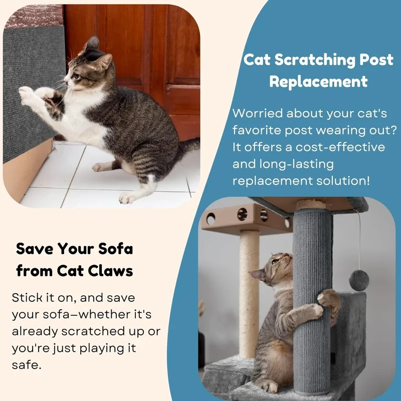 Asisumption™ -Cat Scratching