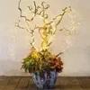 Firefly Bunch Lights(3M/120 INCHES)
