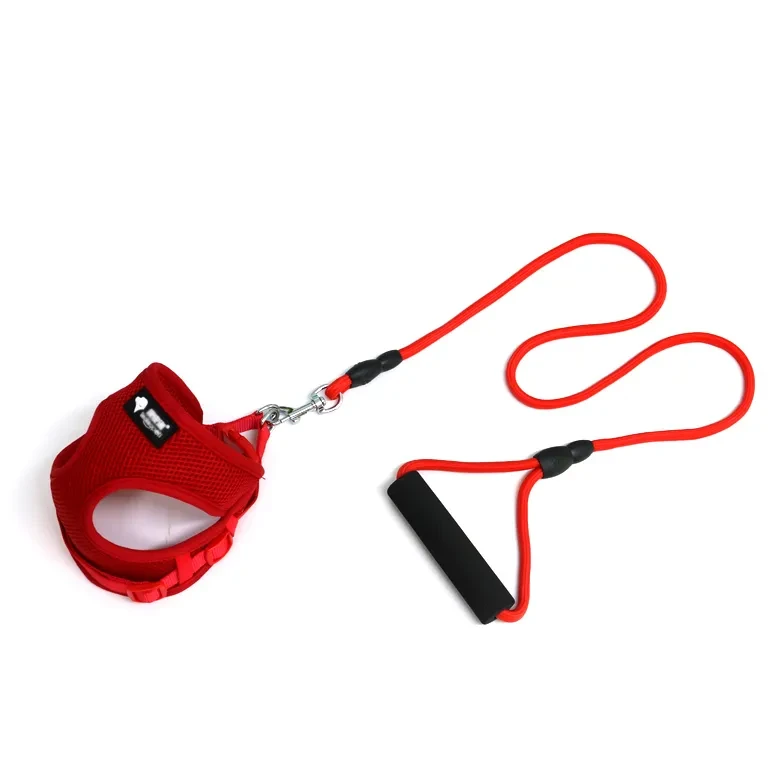 Dog leash and collar