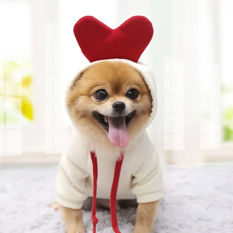 Cute Fruit Dog Clothes For Small Dogs Hoodies Winter
