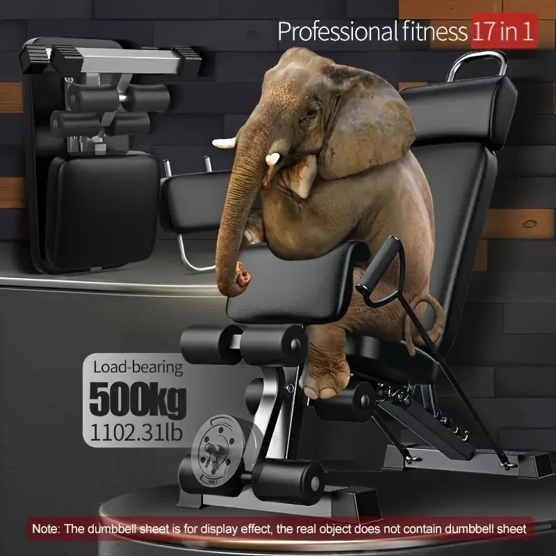 ADKING 17-in-1 Dumbbell Bench – Adjustable Home Gym Exercise Chair