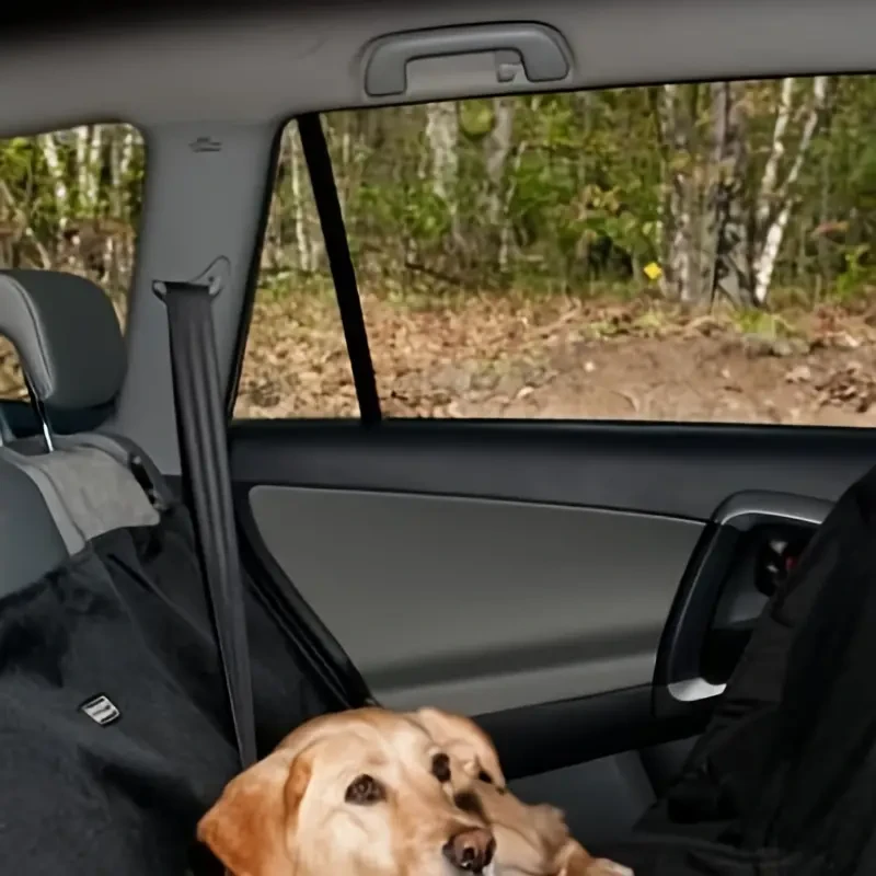Car Back Seat Dog Mat – Waterproof & Durable Pet Protector