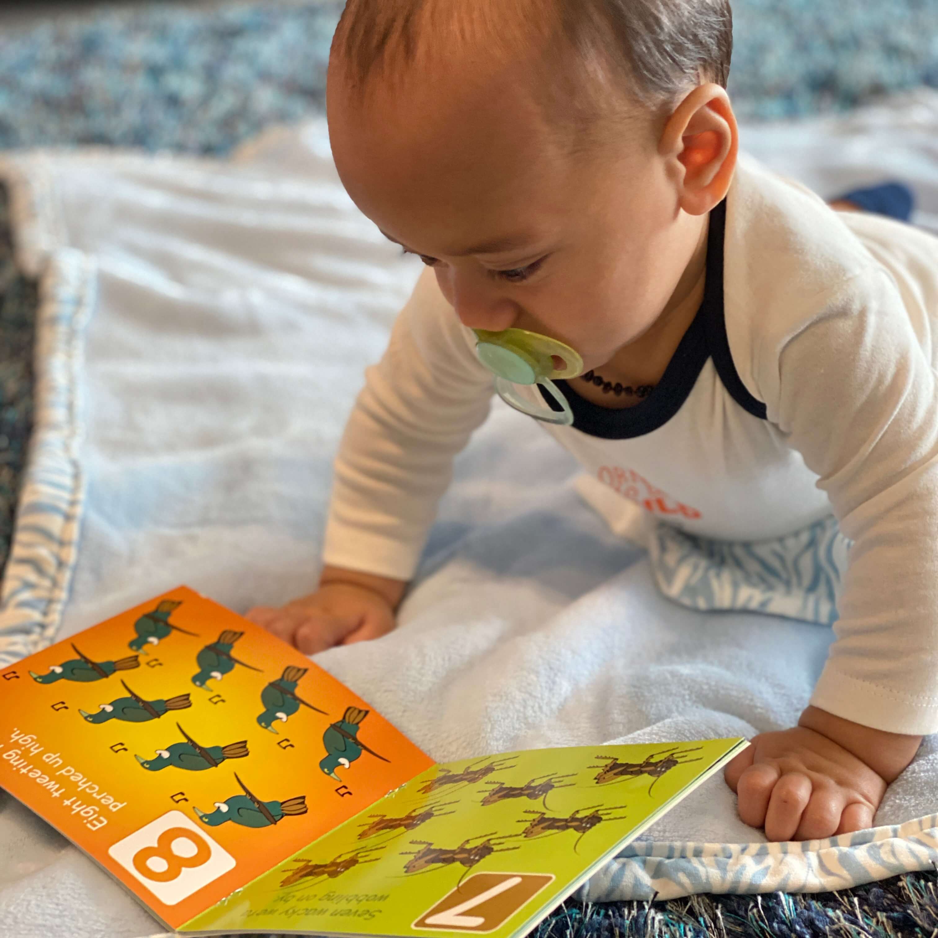 Kiwi Counting Book - Made in NZ