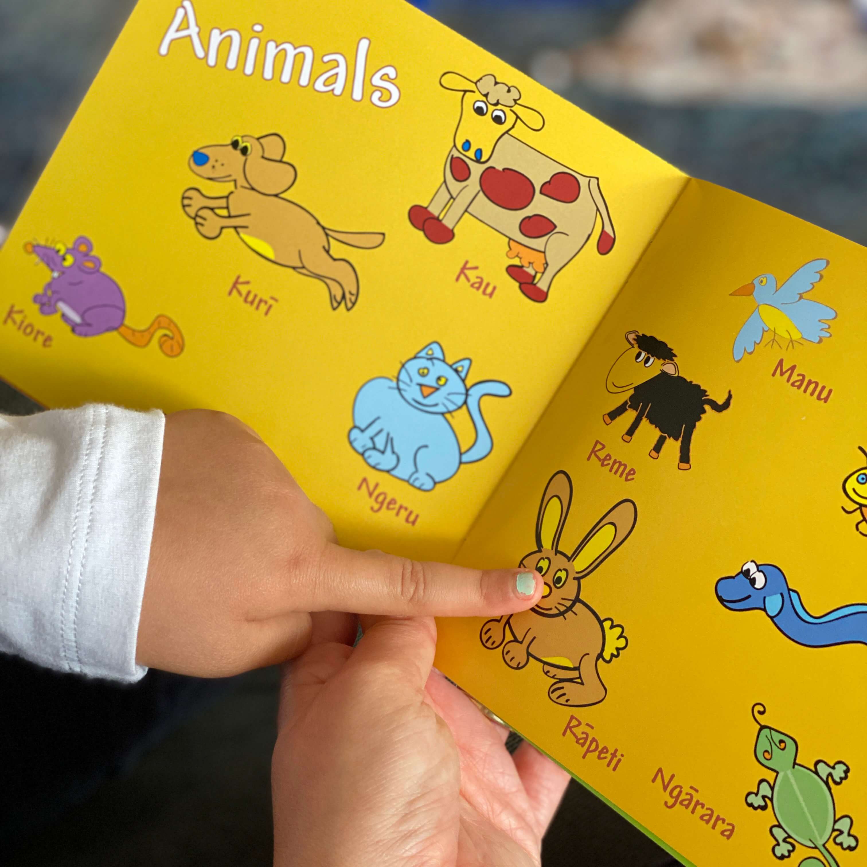 Maori For Kids Book - Made in NZ