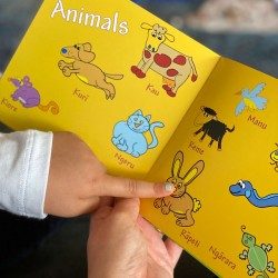 Maori For Kids Book - Made in NZ