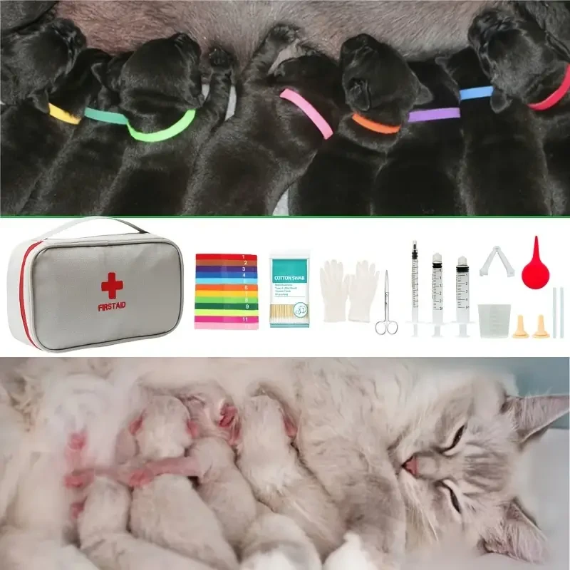 Complete Youngsters Puppy Whelping Kit with Feeding Tubes, Amniotic Fluid Aspirator, Umbilical Cord Cutter, 12 Colorful Collars, 10 Clamps, Gloves & Swabs - Dog Birthing Supplies