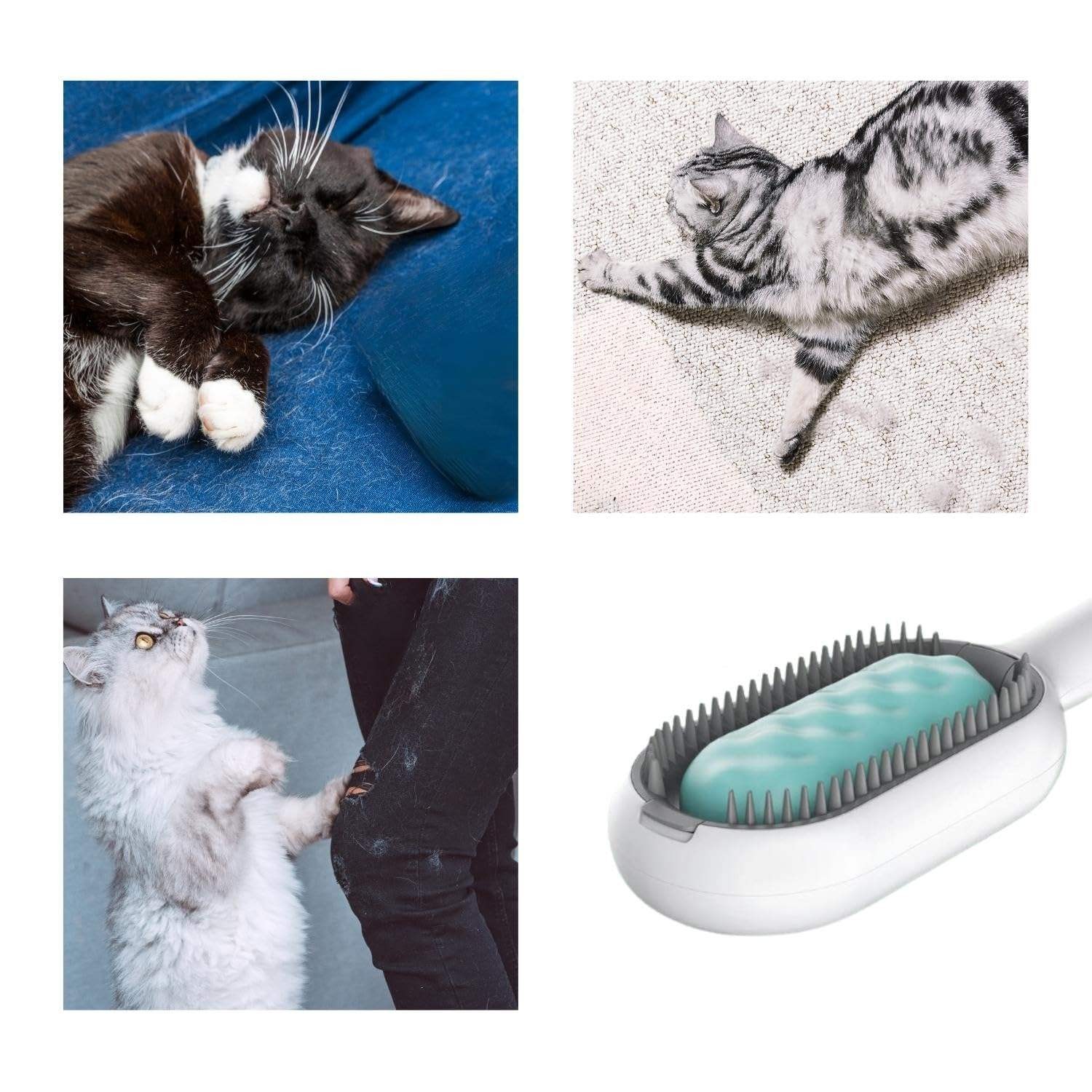 Wet Pet Brush with Water Tank