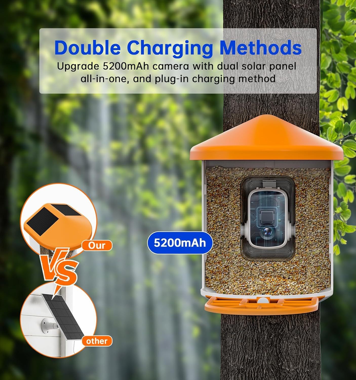 Solar Bird Feeder with Camera & AI Bird Recognition