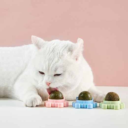 Catnip Wall Ball Piece Cat Toys Edible Cat Licking Toy Cat Chew Toy Teeth Cleaning Cat Bite Toy Rotatable Indoor Cat Toy Cat Wall Decoration