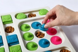 S-shaped Square Pet Puzzle Toy Dog Snacks