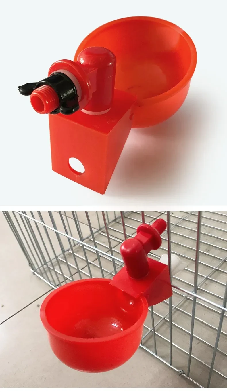 Chicken Poultry automatic waterer