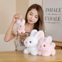 Cartoon Fluffy Rabbit Plush Toy