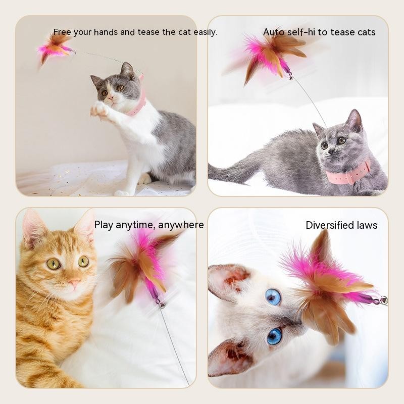 Cat Interactive Feather Collar Teaser Toy