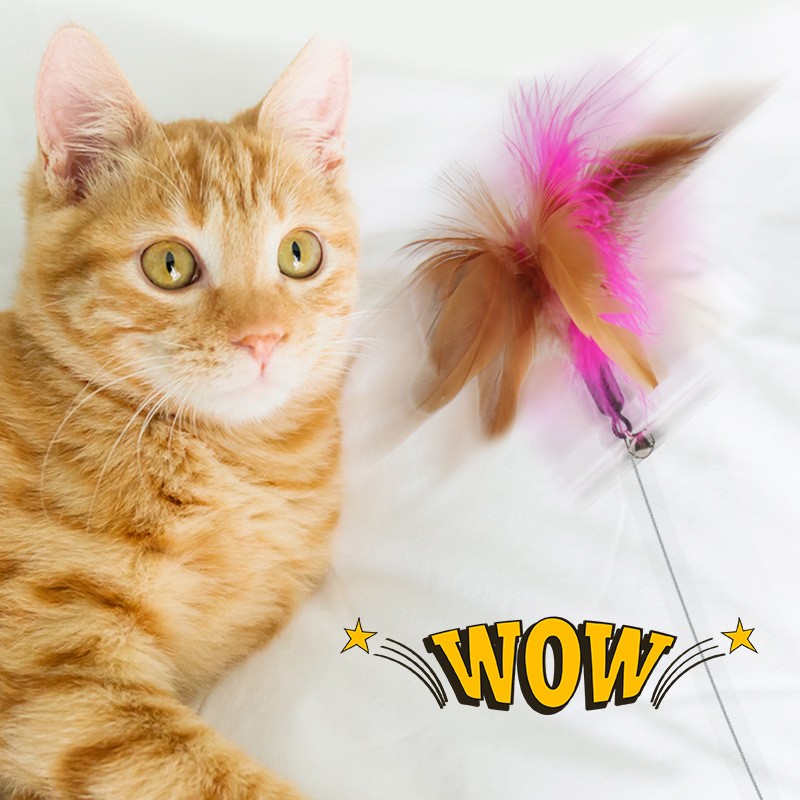 Cat Interactive Feather Collar Teaser Toy