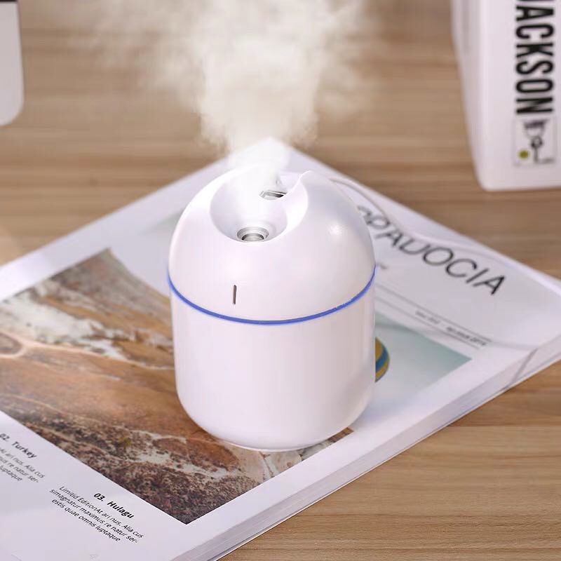 Bedroom Pregnant Woman Mini Baby Office Big Spray Car