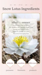 Snow Lotus Moisturizing Skin Gift Set Of 6 Pieces Hydrating And Nourishing Skin, Even Skin Tone Smoothing And Firming Facial Skin Care Set Gifts