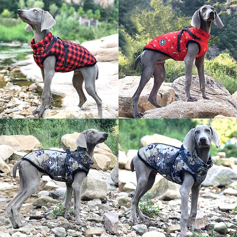 FurryKing™ 3 in 1 Winter Jacket