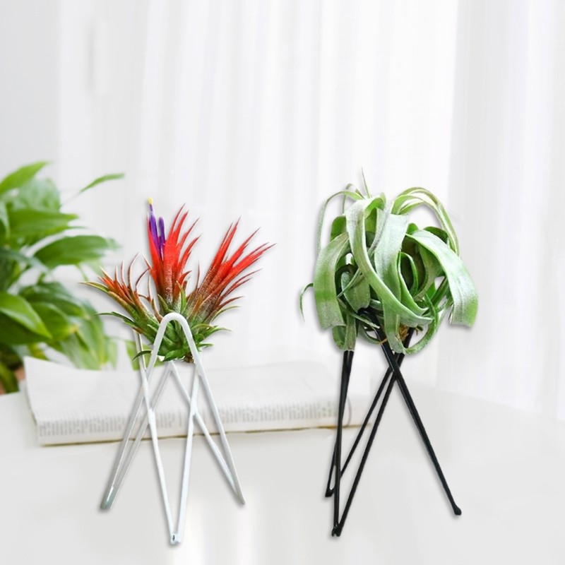 Nordic Style Air Plant Holder – Metal Flower Pot Stand, Geometric Iron Tillandsia Holder, Art Display for Home & Garden
