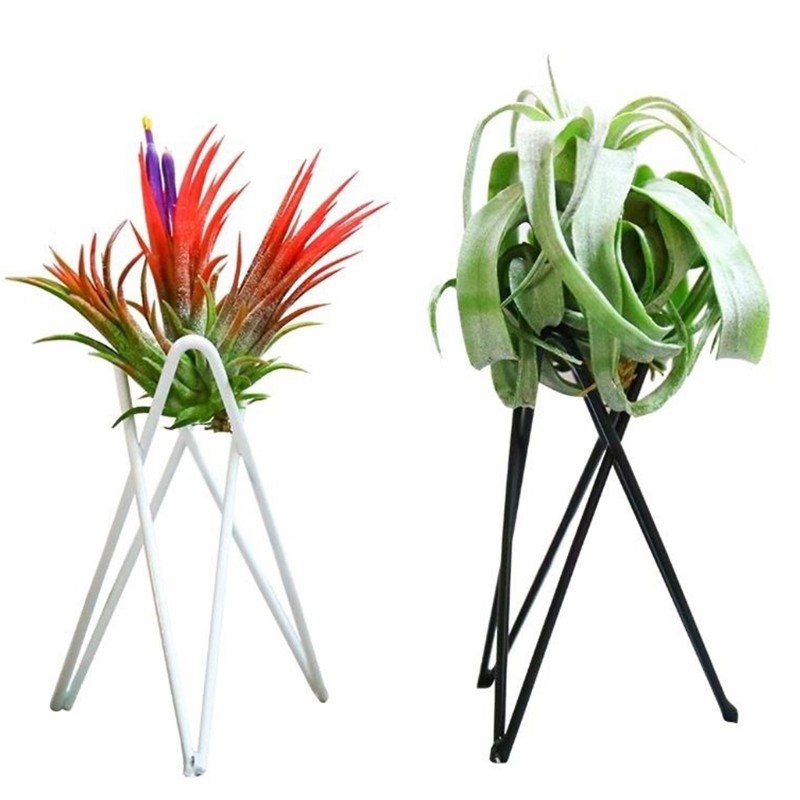 Nordic Style Air Plant Holder – Metal Flower Pot Stand, Geometric Iron Tillandsia Holder, Art Display for Home & Garden