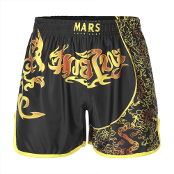 Men's Muay Thai Shorts – MMA Fighting Training Shorts