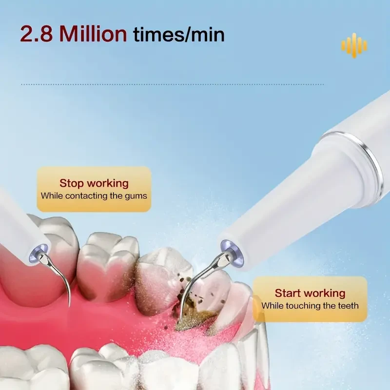 Electric Oral Cleaner Kit - Dental Cleaning and Whitening Flosser with Replaceable Toothbrush Heads