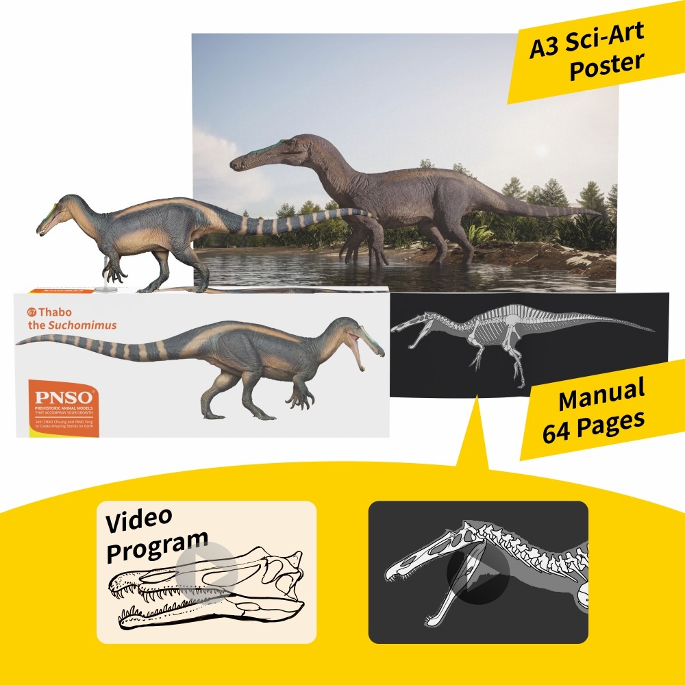 PNSO Prehistoric Dinosaur Model – 67 ThaBo the Suchomimus