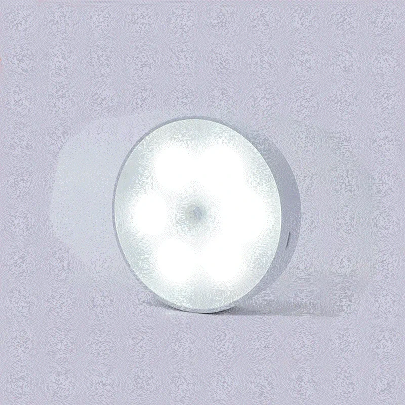 Motion Sensor Closet Light