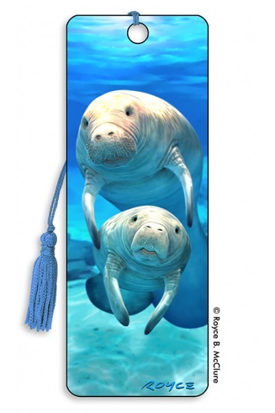 Butterfly River Bookmark