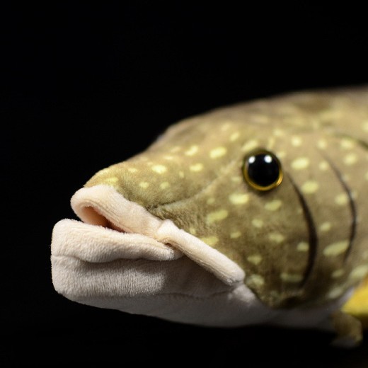 Cute pike doll